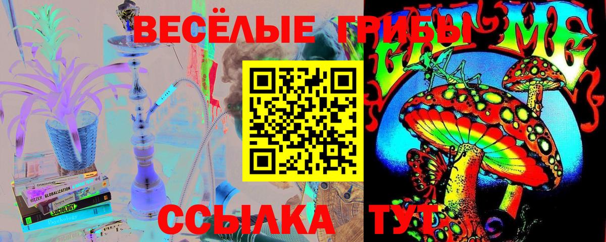 Галлюциногенные грибы GOLDEN TEACHER Новоалтайск