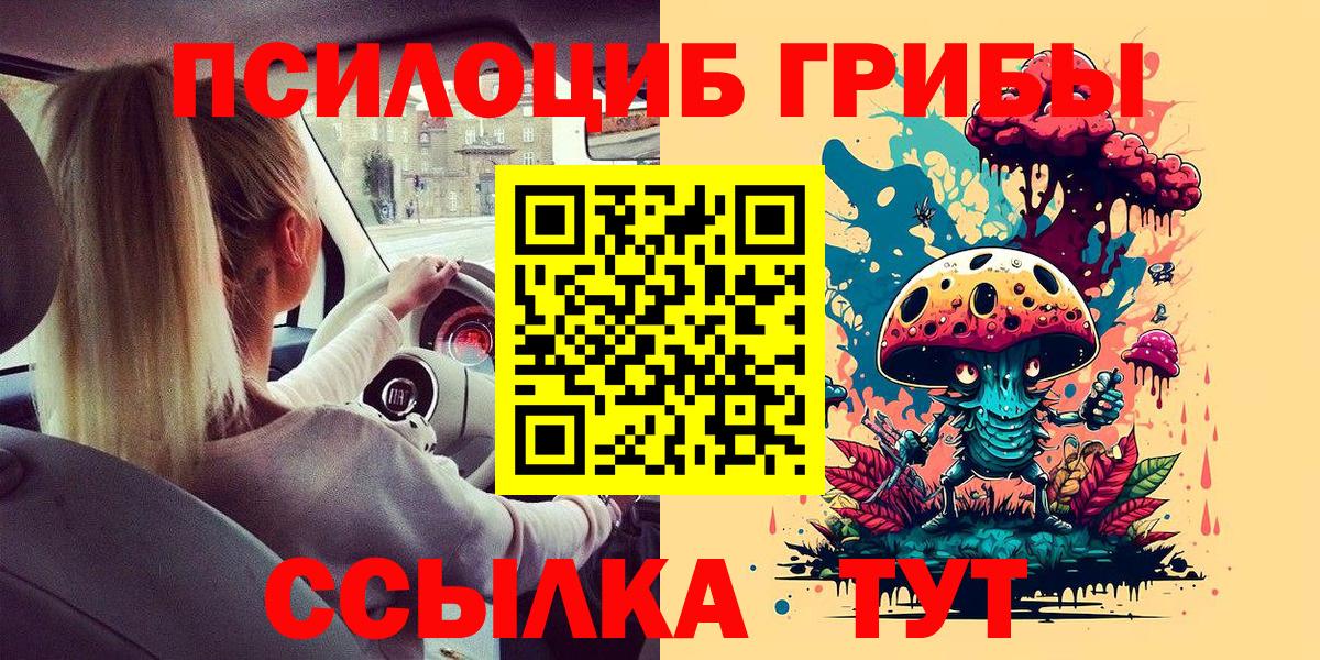 Псилоцибиновые грибы мицелий  продажа наркотиков  Новоалтайск  Галлюциногенные грибы Magic Shrooms  Вход с VPN 